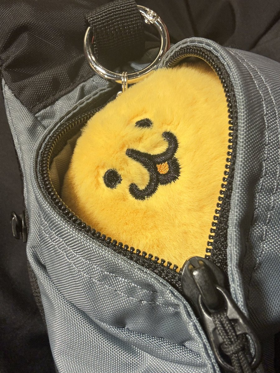 AirsoftAyu's tweet photo. 雨防ぎふくよか https://t.co/1e9KCxnyo9