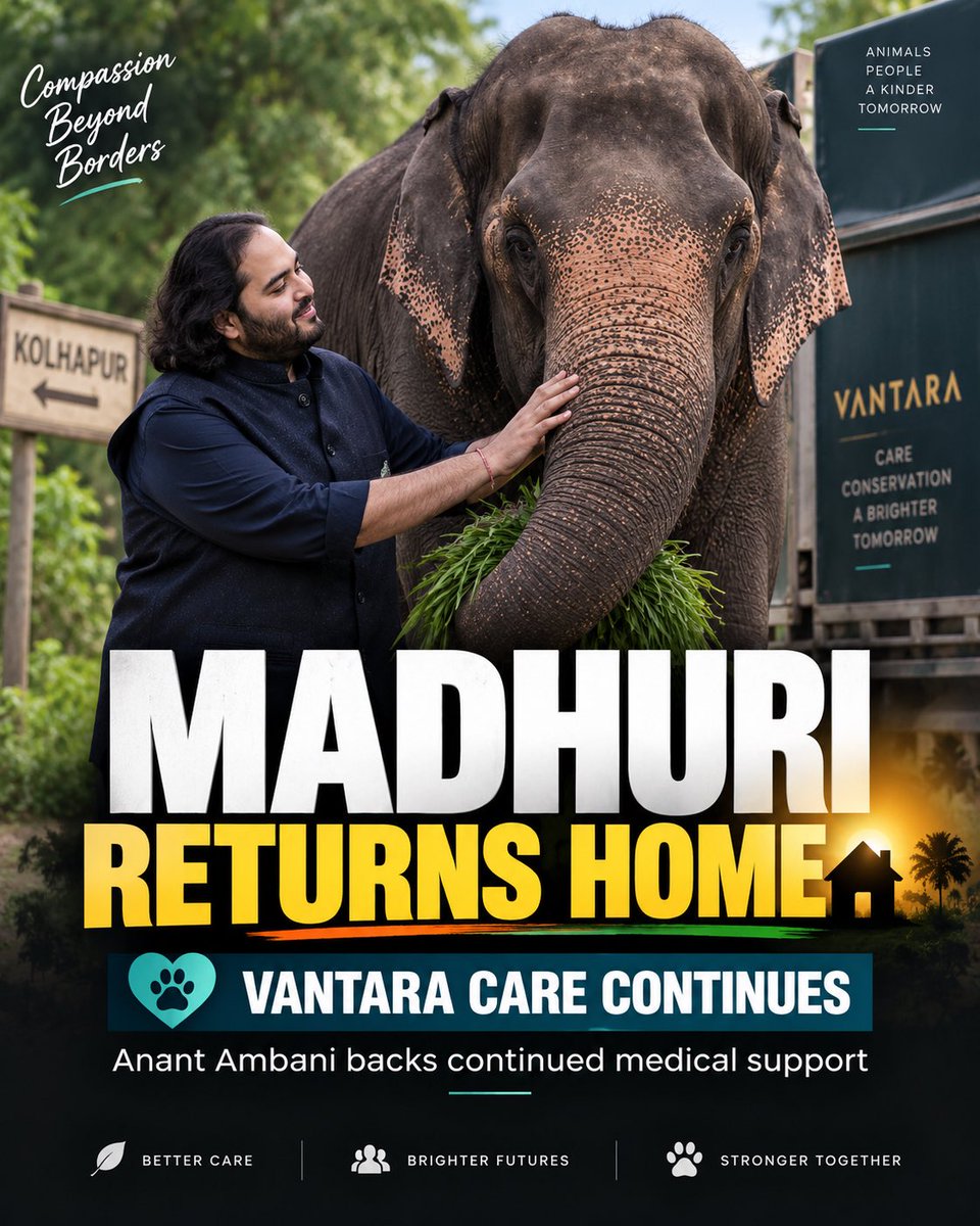 jutpal419's tweet photo. #MadhuriReturnsHome Kolhapur se aaya tha Madhuri, aur Kolhapur wapas gaya sab kuch lekar... Vantara ne dekha ki ghar jaane ke baad bhi treatment rukni nahi chahiye. Ye hai sachcha pyaar 💛 https://t.co/guyCAYgpj6