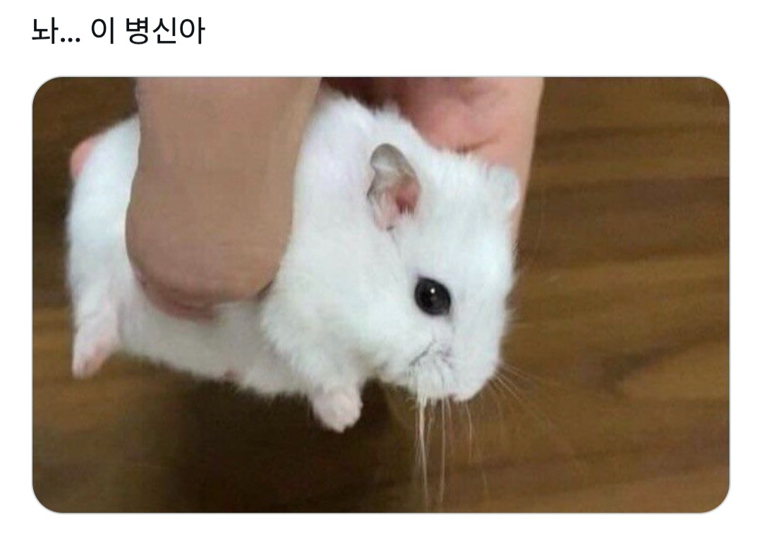 ssoo_nlly's tweet photo. 임성애 순경님 https://t.co/5HztdDoBIm