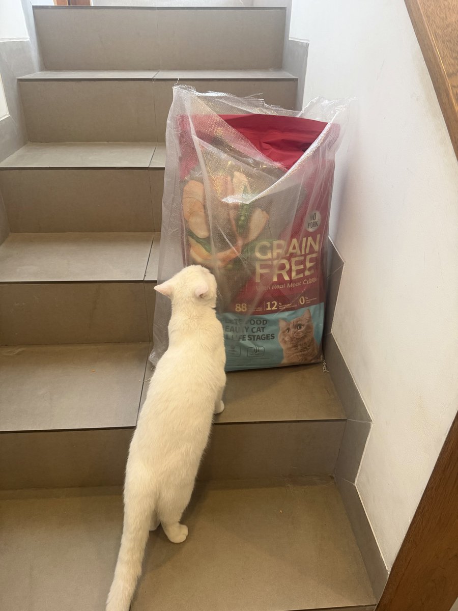 KapudS640's tweet photo. Iseng beli dry food kucing 8 kg karena jatuhnya lebih hemat daripada beli yang 1,5 kg.

Pas dateng ternyata GEDE BANGET 😭 Berasa punya panti kucing sendiri.

Ini kalau udah dibuka terus kelamaan bakal melempem nggak ya? 😭

Segede iniii 😭 https://t.co/ygytL8ylxM