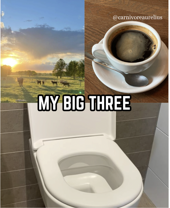 AlpacaAurelius's tweet photo. these three things every morning will cure all your health issues https://t.co/SE7zBAl8XM