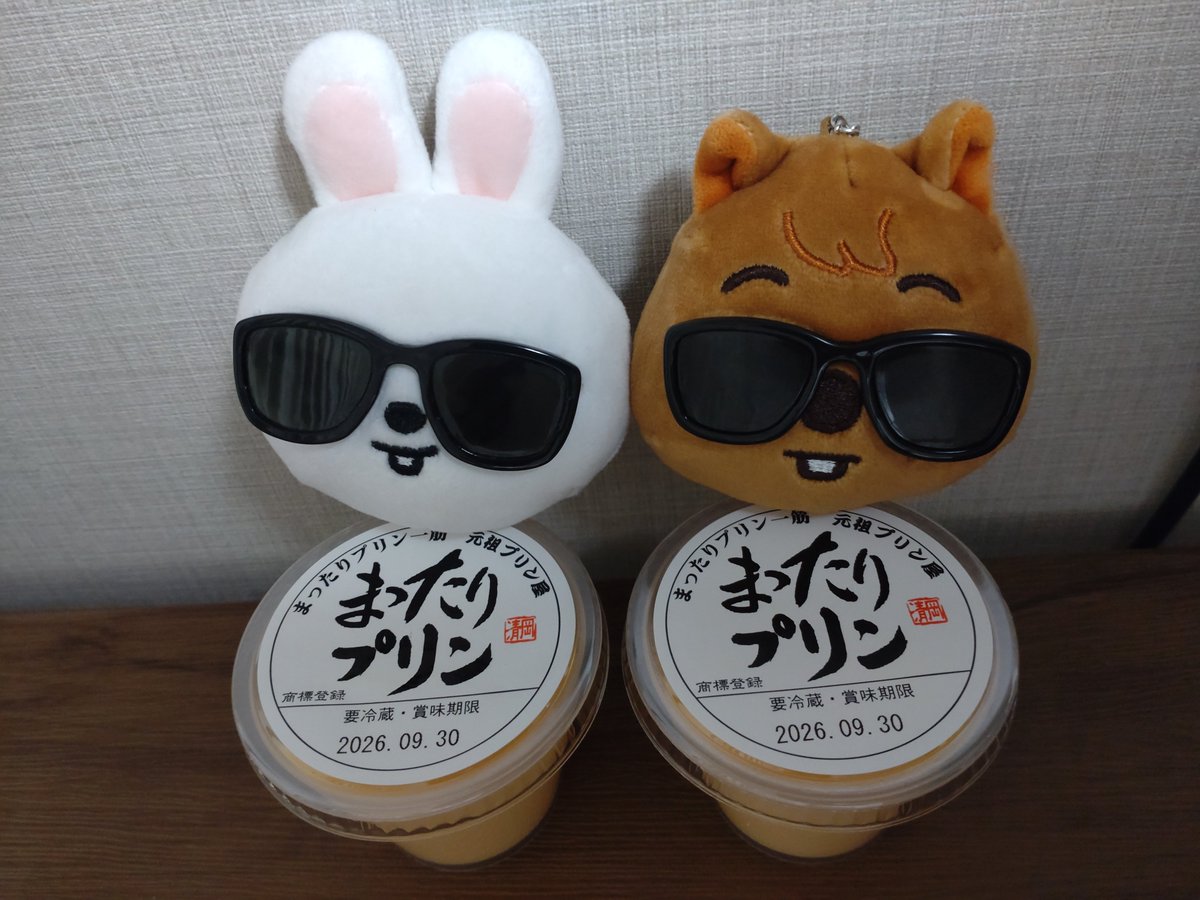 STAY0801you's tweet photo. 大阪楽しかったー！
３日間で、リノさんの行ったPARCOの串カツ食べて、金龍ラーメン食べて、泊まったクロスホテルみて、まったりプリン食べて、たこ焼きわなかでネギチーズたこ焼き食べて、串カツ大将の店長？さんから、リノさんの貴重なお話聞けて、食べて飲んでびっくりする程体が浮腫みまくったw https://t.co/fokzjJldDU