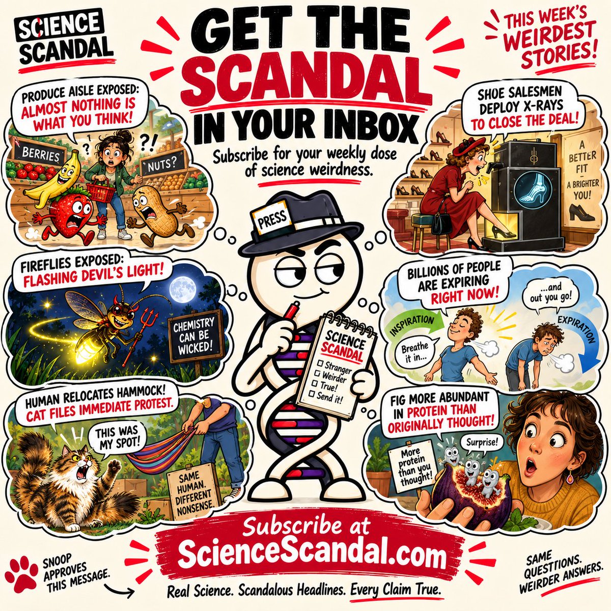 ScienceScandal's tweet photo. 🧬 Six weird science stories. One weekly email.

If the algorithm hid something, the newsletter catches you up. No daily spam. 😂

Subscribe:
https://t.co/FOWILh9H5W https://t.co/X6bVk09hrx