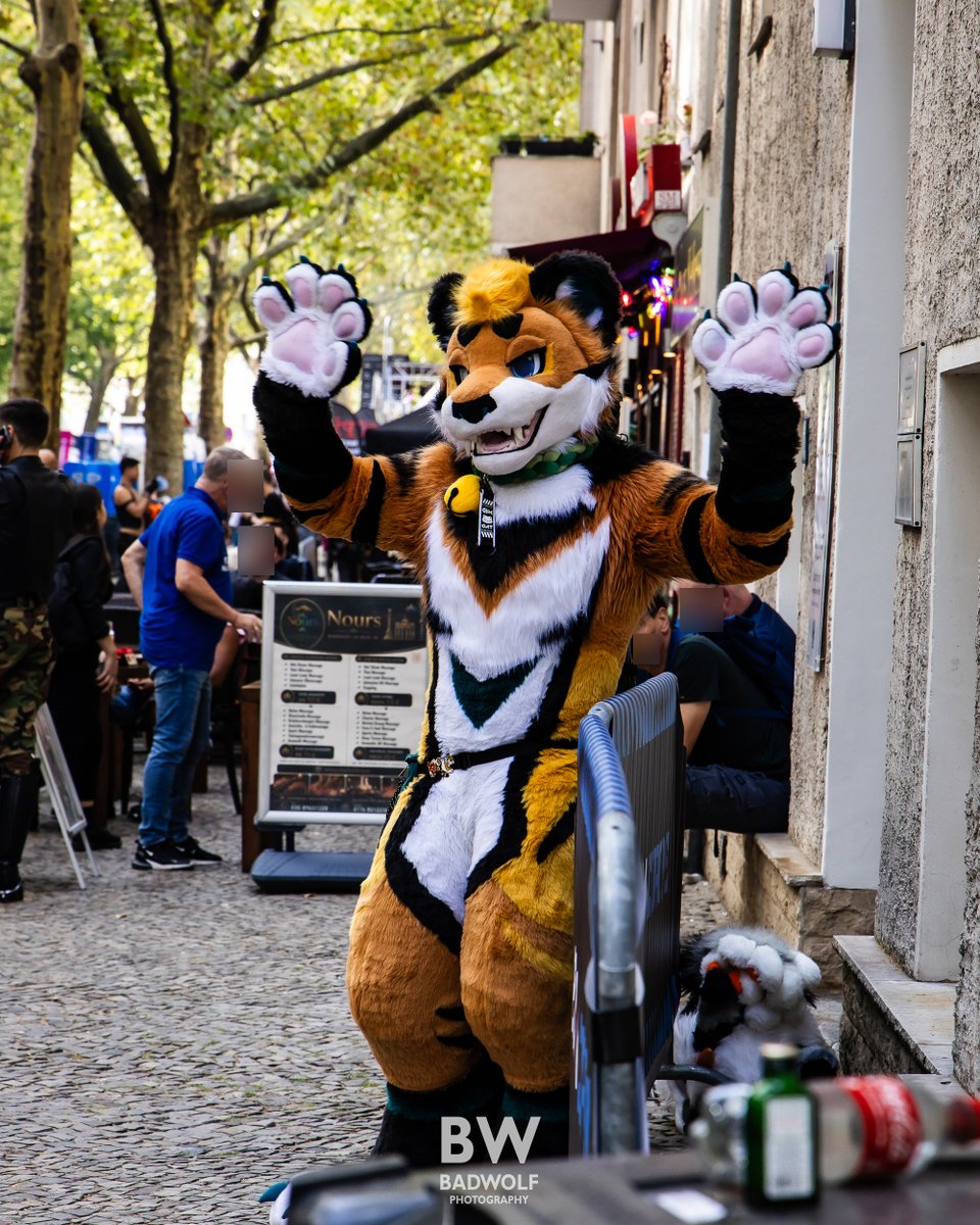 FurryCairo's tweet photo. This cat brings it's own vibes to the adult street fair

Want more public suiting shenanigans pls

📸: @BadWolfPhotos https://t.co/gPjO19x0Ep