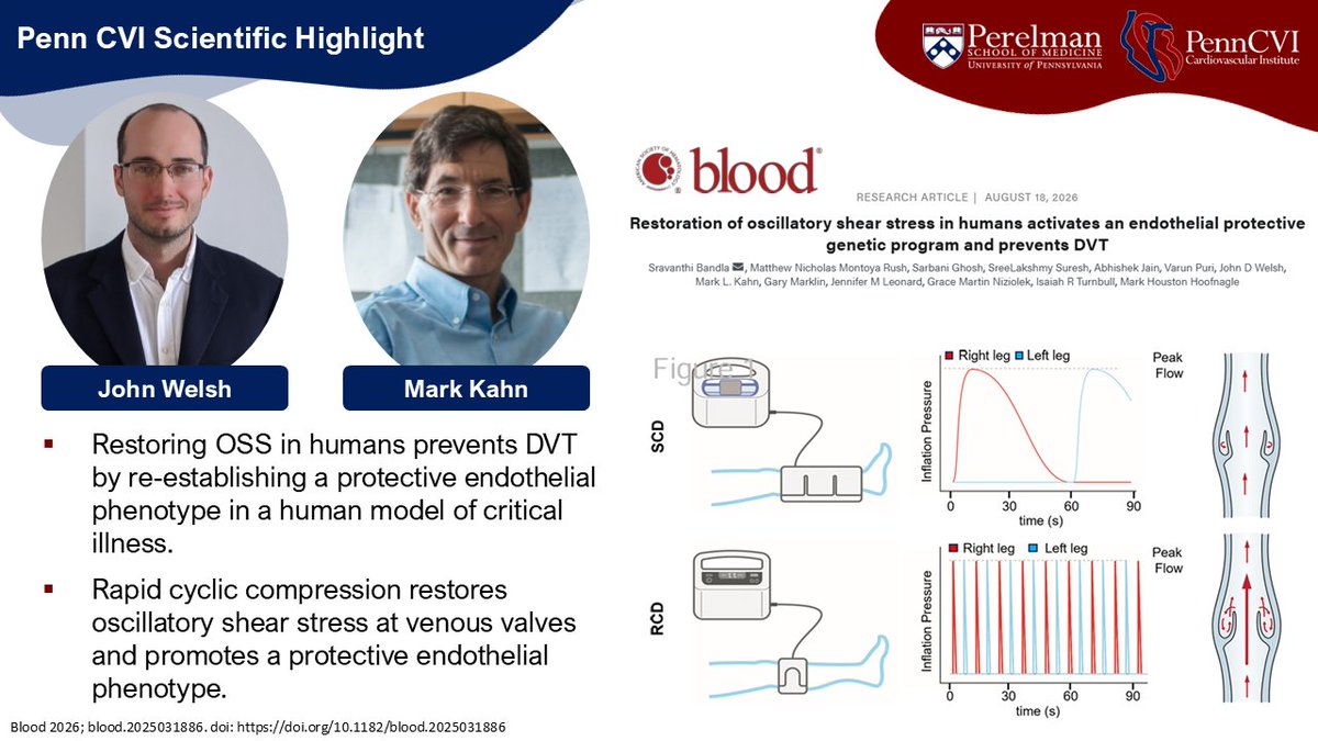 PennCVI's tweet photo. CVI's Highlighted #PapersoftheWeek!
https://t.co/JXxl6DV47Z https://t.co/mveKIDKBTa