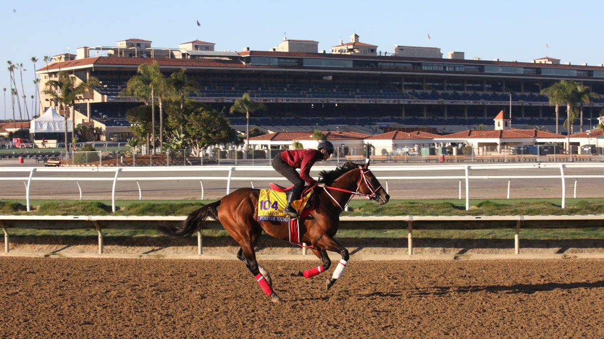 FanDuel_Racing's tweet photo. Will Forever Young repeat in the @BreedersCup Classic this year? https://t.co/mA1DhEflH8