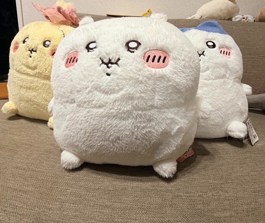 bnbguriri's tweet photo. お部屋にいっぱい置けないから厳選してるけど、堂々たるぼっちゃり見て https://t.co/OZfbgblBUJ