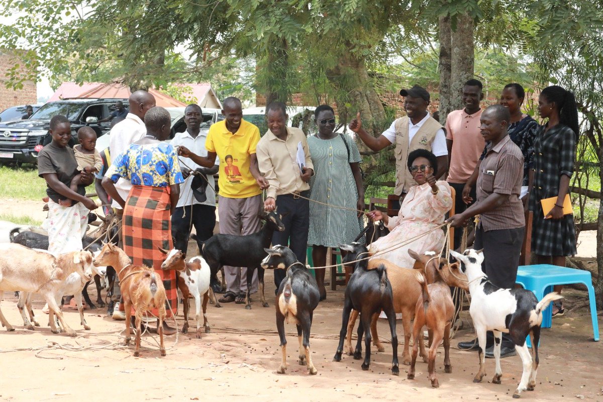 acanjoyceokeny's tweet photo. The State Minister for Gender, Labour and Social Development in charge of Disability Affairs, Hon. Acan Joyce Okeny, is currently traversing the dusty terrain of West Nile as part of her continued nationwide tour.

The tour, which started last week and is expected to conclude later this week, is aimed at assessing the performance and impact of the Special Grant for Persons with Disabilities and other government programs including the Parish Development Model (PDM).

Despite the long distances and difficult murram roads, Hon. Acan has been moving from district to district meeting PWD groups, visiting rehabilitation centres and schools with learners with special needs, to get first-hand information on how government funds are being utilized.

Her tour has so far highlighted both success stories of PWDs transforming their lives through the grant, and critical gaps in rehabilitation centres like Ocoko in Arua District that require urgent intervention.