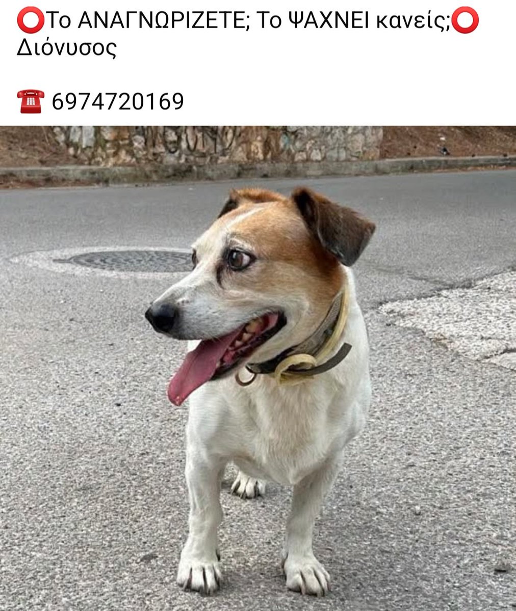 KatKatPt's tweet photo. 🆘️🆘️🆘️
Βρέθηκε στον Διόνυσο 
Το αναγνωρίζει/αναζητά κανείς;
Rt 🙏 🙏 🙏 https://t.co/CgOX7uGcZB