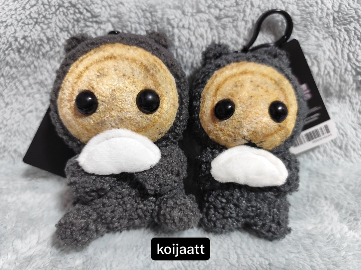 koijaatt's tweet photo. ได้รับน้องแล้วนะคะ สองก้อนน่ารักมั่กก😘
#เหมี๊ยวลิซรีวิว https://t.co/sWvojnZ046