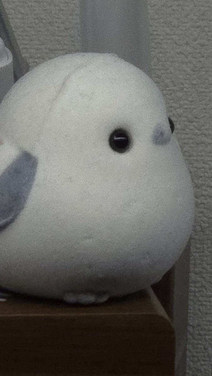 kein3145's tweet photo. かわい
#GalaxyAI https://t.co/dAok4ODMxP