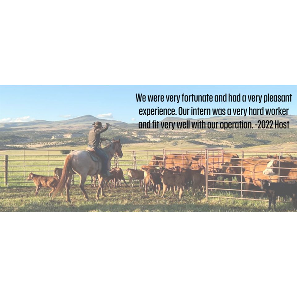 growingwyintrns's tweet photo. Quote | 2022 Host
#bfrdpwy #aginternship #RightRisk
“We were very fortunate and had a very pleasant experience. Our intern was a very hard worker and fit very well with our operation . . .”
– 2022 GrowinG Host https://t.co/JIQD1TYn5S