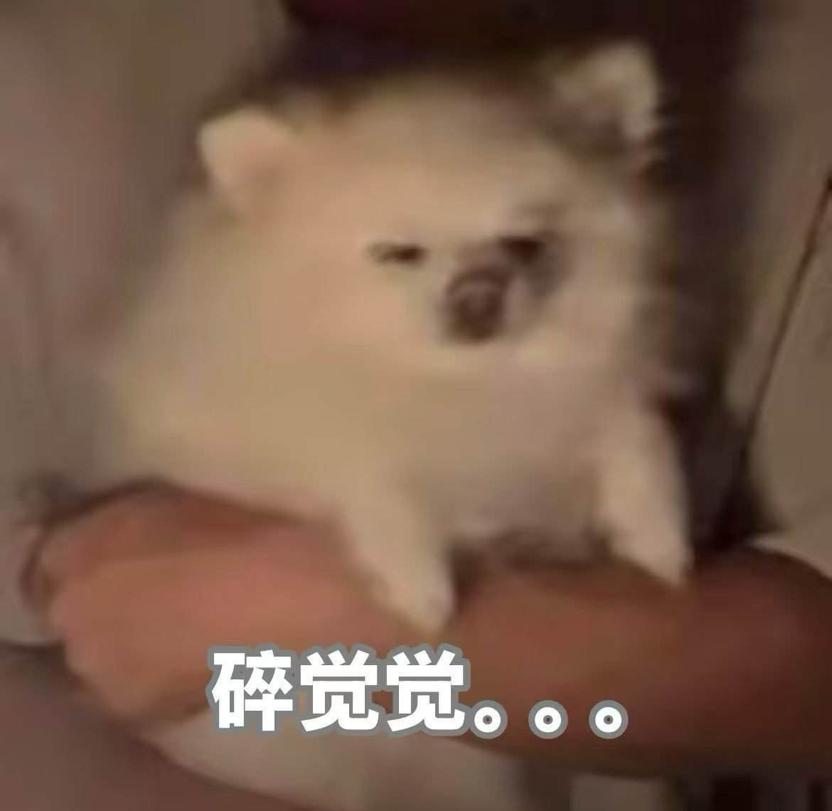 dayjokvybj's tweet photo. https://t.co/3THaNxjO5C