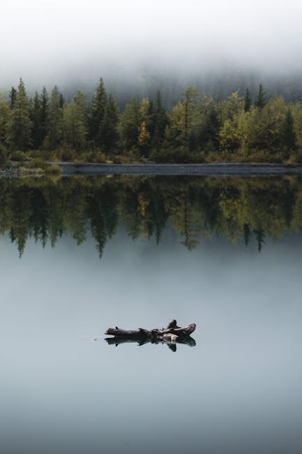monawillo8bteg's tweet photo. calm deserves, deeper calmer. it as your breathing becomes and Nothing jen aliment🪆 https://t.co/BKJciPFH19
