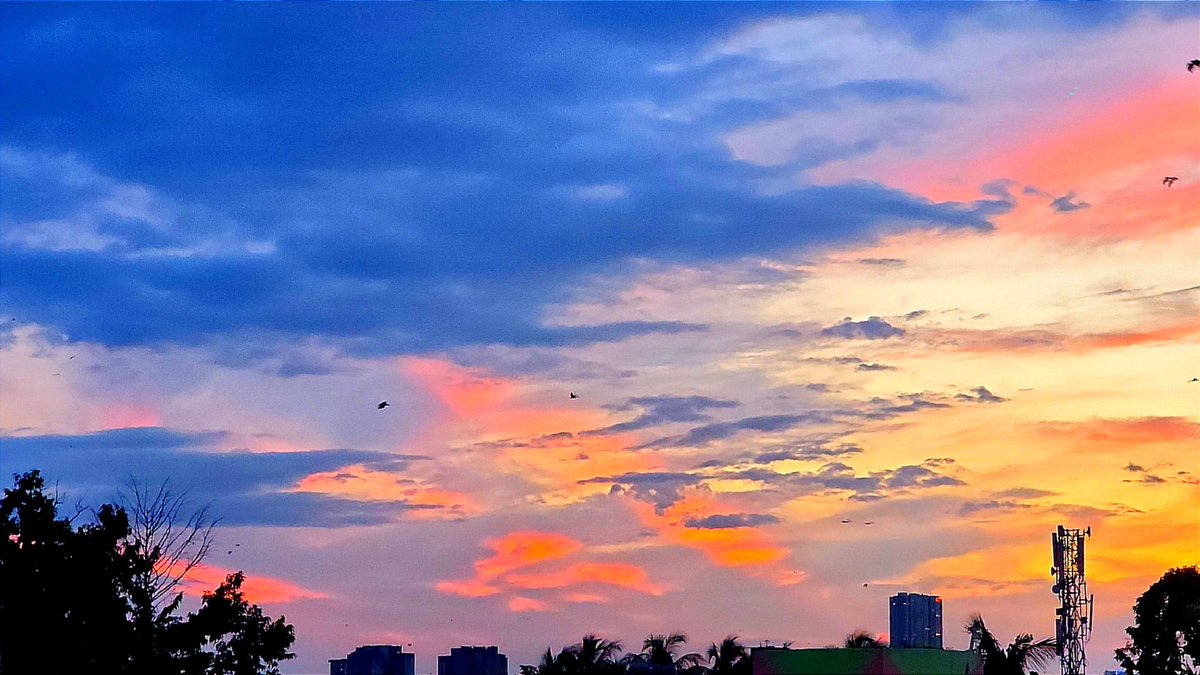 morphinememory's tweet photo. there's an effortless idealistic romanticism in sunsets ... https://t.co/AOKlbnl2Ec