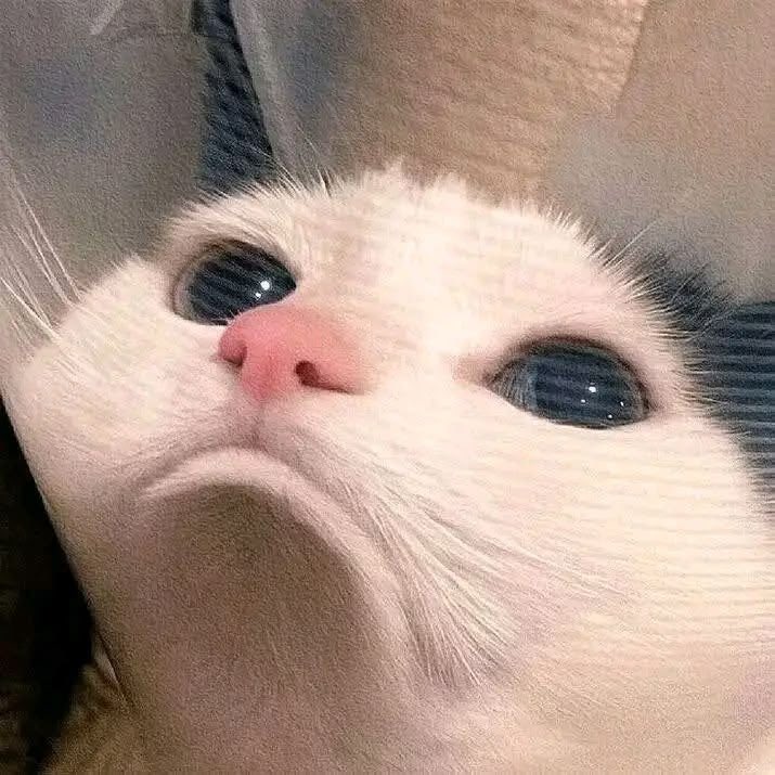 tinytetaez's tweet photo. เย่นเกมก็แพ้แม่ก้บ่น ☹️ กิมข้าวเย้อะแม่ก้ว่าอ้วน ☹️☹️☹️ https://t.co/JQ3v06oKqs