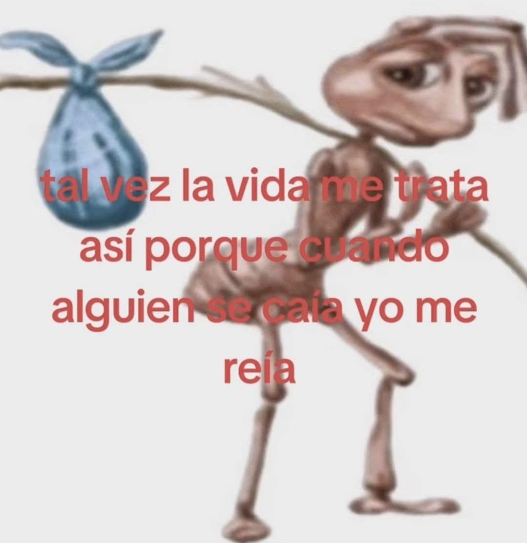 wikipistacho's tweet photo. https://t.co/AochNUvaPx