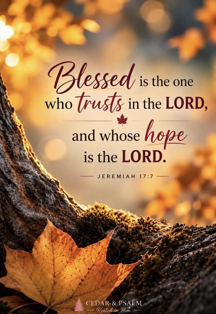 Lady0wlchemy's tweet photo. 🌤☕️g00d m0rning!
There’s a quiet kind of thriving that comes from trusting the Lord day after day. We keep showing up, keep putting our hope in Him, doing what’s ours to do, and leave the results with Him.🤗

Daily faithfulness has a way of making a life feel like home.🍂🧡 https://t.co/a0E61cijXh