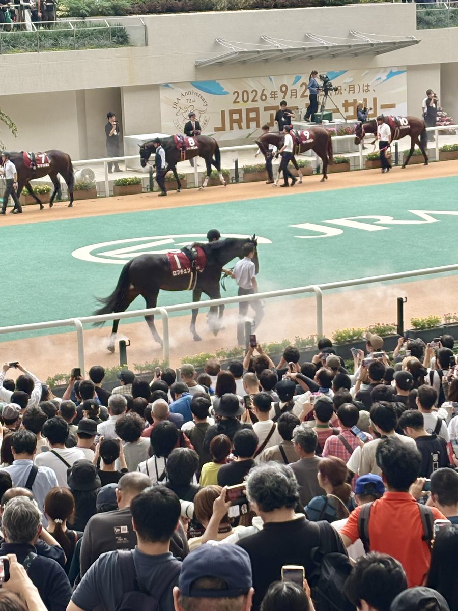 raiath_'s tweet photo. 今思うと有馬の前日入りでホープフルこんな近くで見れたの本当に良かったな
今日のパドック人多すぎてまじでG1かと思った https://t.co/TMnYW1JB9E