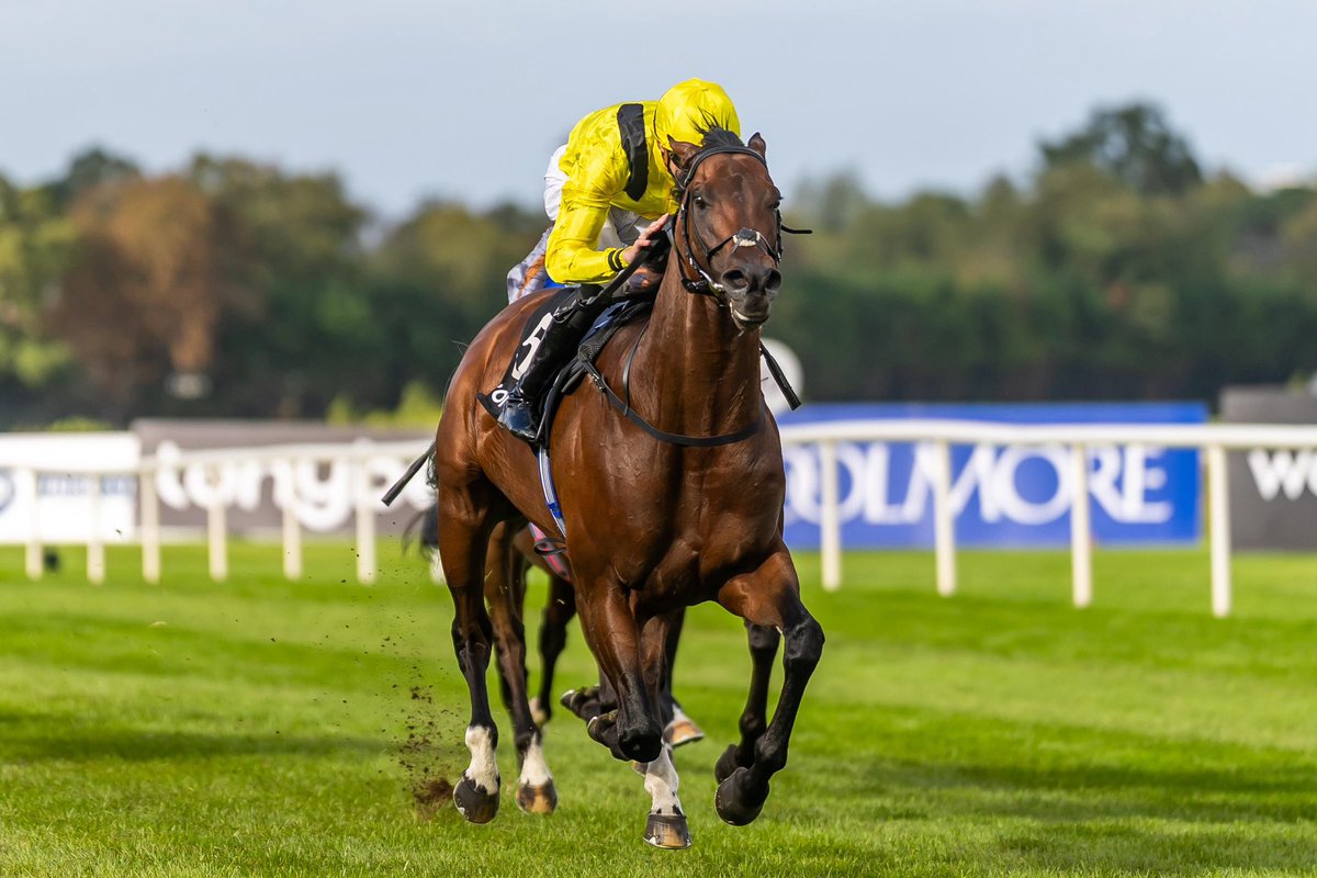 LeopardstownRC tweet picture
