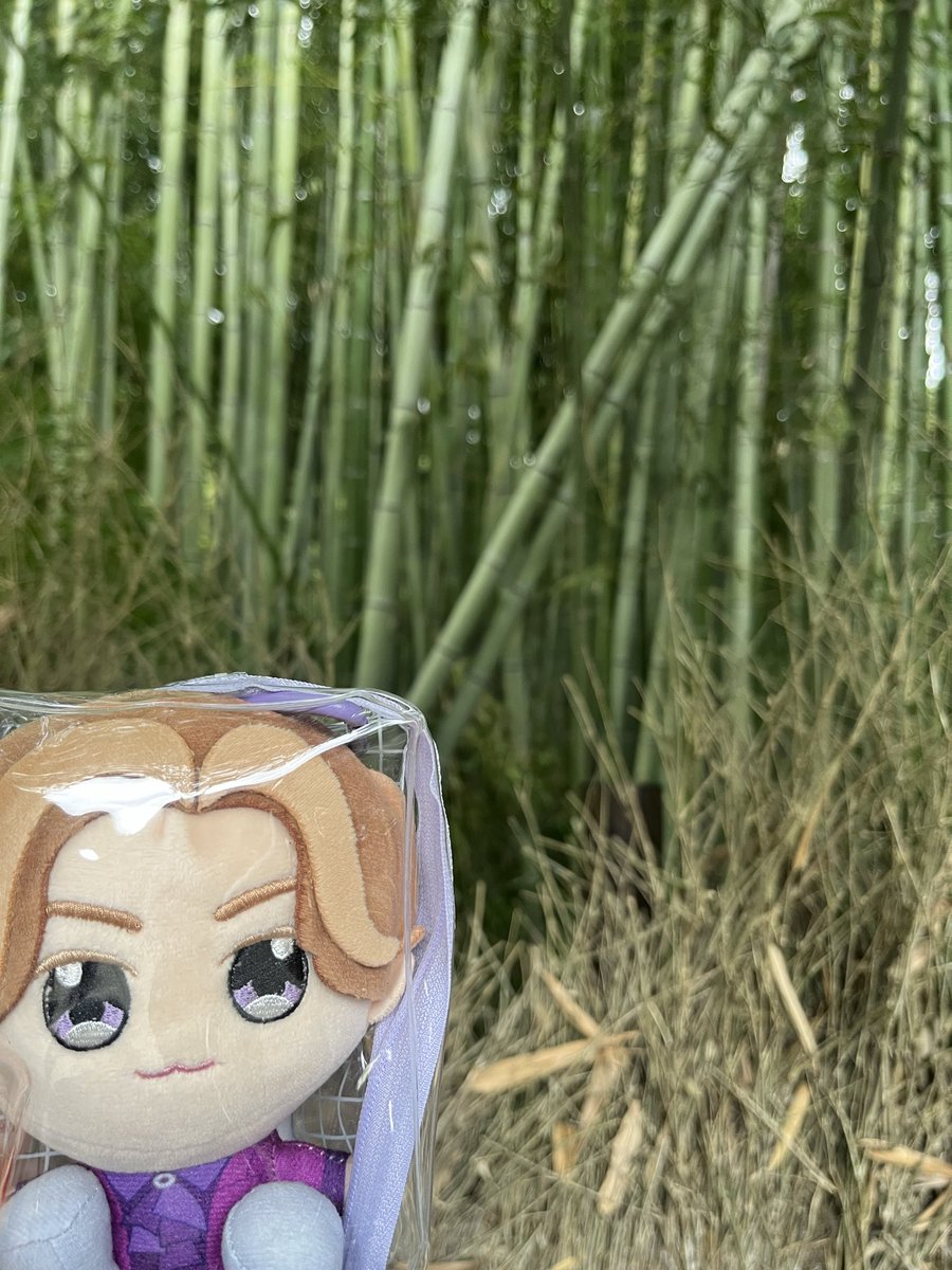 rairaistar's tweet photo. 最終日の今日は、銀閣寺を観光🏯中学校の修学旅行以来ぶりに来た。当時は、もっと敷地内大きく感じてたけど。昔の記憶とは、やはり薄れるんだなと実感した😕 https://t.co/4U3lraVwDy