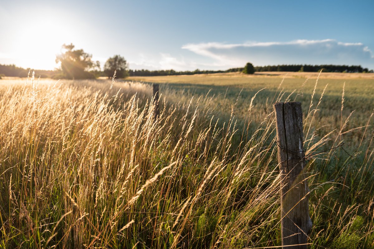 OntUniv's tweet photo. #RuralOntarioWeek celebrates the people and communities that help make Ontario’s rural regions thrive. Universities are proud partners in strengthening rural growth through research, innovation & collaboration. This week, we're highlighting the impact of university-community partnerships that are helping strengthen local economies and build vibrant, resilient communities. #ONpse