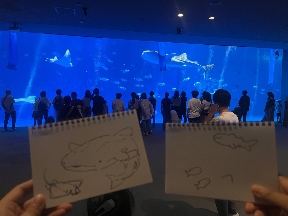 suguyome's tweet photo. 水族館でお絵描きしてポケカして充実した1日でした😻 https://t.co/XFBTRa4Drj