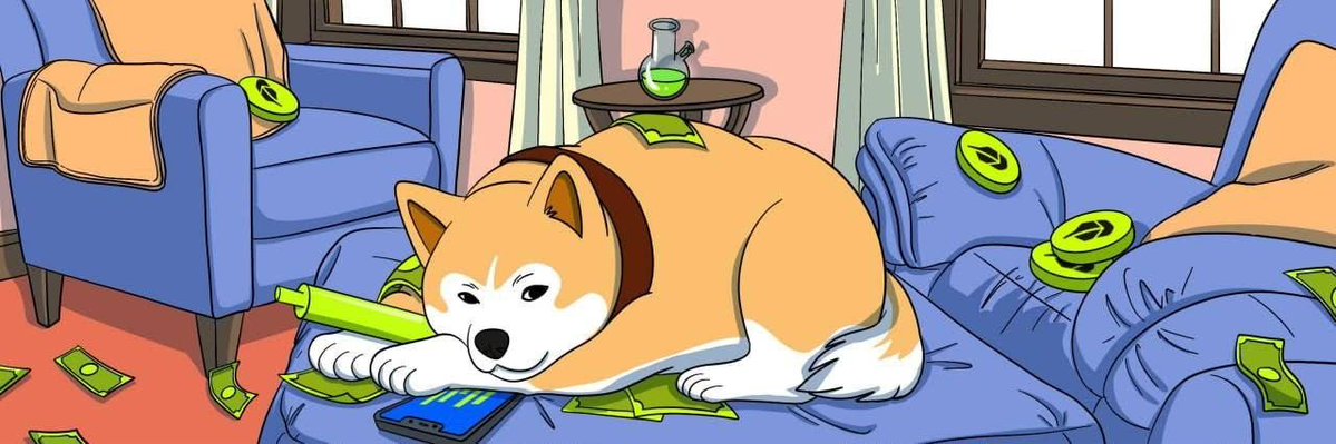 SHIBCrowd's tweet photo. $HACHI live in 3 hours on Robinhood Chain.

First real dog play on Hood.
Same team that ran HACHI on ETH to $6M+.

No dog has mooned here yet.

https://t.co/T14VJX3z4j
https://t.co/QXDtGXpnDP https://t.co/hQFw3VYJYo
