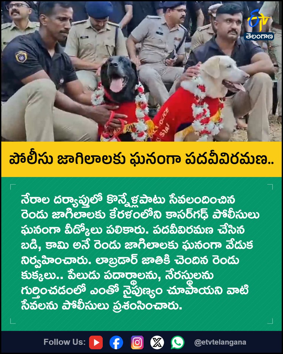 etvtelangana's tweet photo. పోలీసు జాగిలాలకు
ఘనంగా పదవీవిరమణ..
For More LIVE Updates Click This Link
https://t.co/J7l3k76SGA
#KeralaPolice
#PoliceDogs
#KasaragodPolice
#DogRetirement
#CrimeInvestigation
#Etvtgbreaking https://t.co/NWbTrlISF1