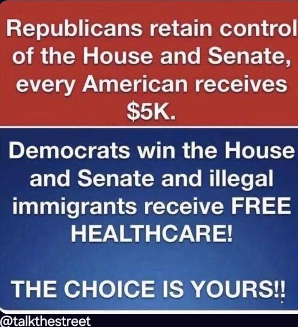 RamboGirl1234's tweet photo. VOTE RED! SAVE OUR COUNTRY! https://t.co/8gNL8GaDnH