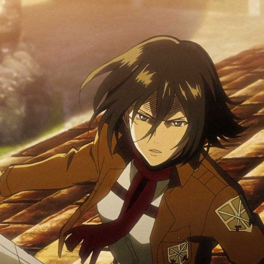 havencatsy's tweet photo. ⓘ this user loves mikasa ackerman https://t.co/AgxayTmC2q