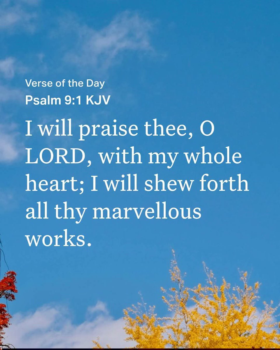 Godwakeupcall's tweet photo. #Verse4Today
Psalm 9:1 KJV
I will praise Thee, O LORD, with my whole heart; I will shew forth all Thy marvellous works.
---------
https://t.co/kzEC5b43Bf #RightlyDivideTheWordOfTruth #LessonStudy #Devotionals
https://t.co/K09pk1lnBK https://t.co/pxOJ3jEITo