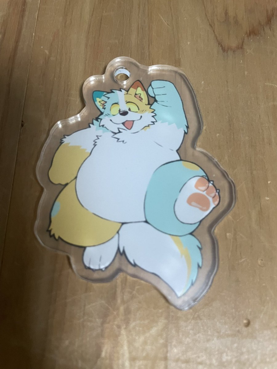 jimmy_nyan's tweet photo. 一生の宝物…✨ https://t.co/v5DJddpMgK