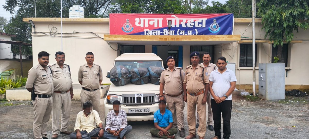 SP_Rewa's tweet photo. “प्रहार 2.0” अभियान के तहत थाना चोरहटा पुलिस ने अवैध मादक पदार्थों के विरुद्ध बड़ी कार्रवाई करते हुए बोलेरो वाहन से 79.190 किलोग्राम गांजा, एक बोलेरो वाहन एवं 03 मोबाइल फोन सहित लगभग ₹20.17 लाख का मशरूका जब्त कर 03 आरोपियों को गिरफ्तार किया @DGP_MP @MPPoliceDeptt @mohdept https://t.co/fs2TRtqjNI