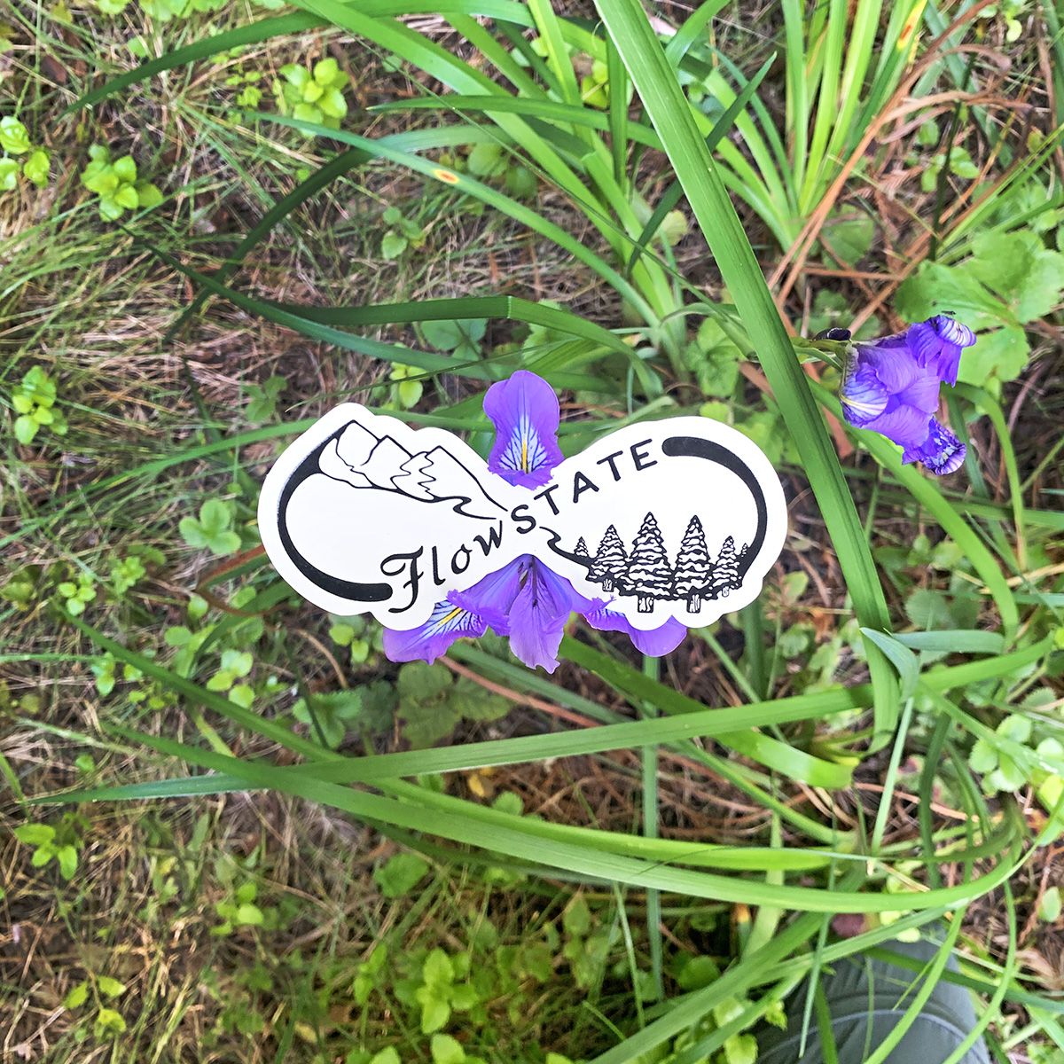 ReWildBeFree's tweet photo. Spotted in the wild 👀 #FlowState 🌱 https://t.co/TGssGCw2eW
