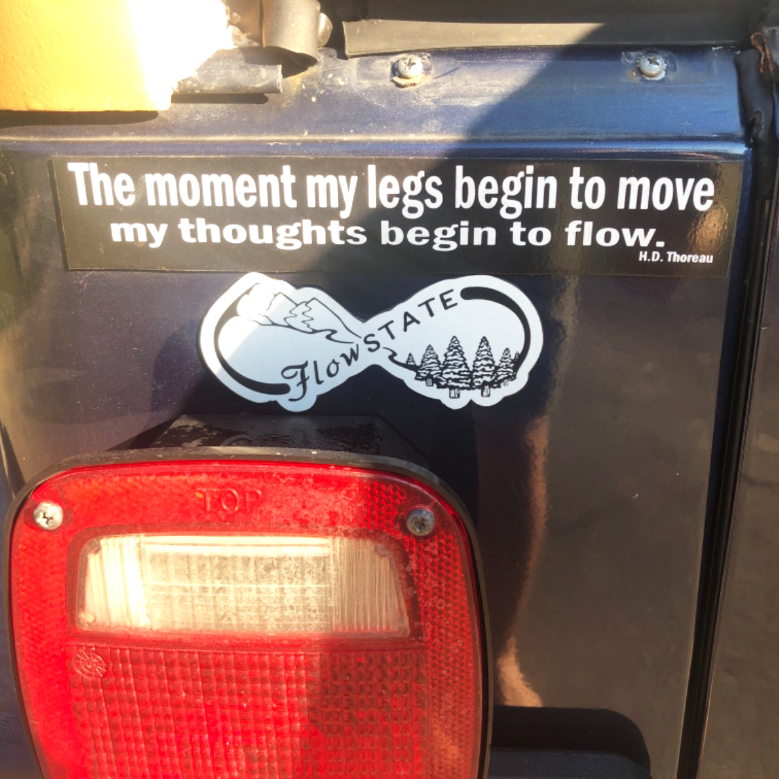 ReWildBeFree's tweet photo. Spotted in the wild 👀 #FlowState 🌱 https://t.co/TGssGCw2eW