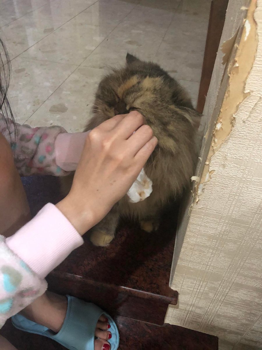 artza's tweet photo. หน้าที่ นุด
#แมวไปดาว https://t.co/0oXRNBc9oT