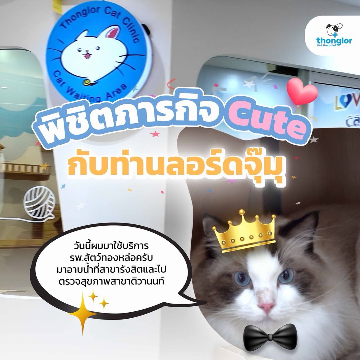 GeminiHome_TH's tweet photo. IG : nekkocatfood 

#ท่านลอร์ดจุ๊มุของแด๊ดเจมีไนน์ #LordJumu
#Gemini_NT #เจมีไนน์ @gemini_ti 

ตามติดภารกิจสุด Cute กับท่านลอดร์ดจุ๊มุ 🐱👑💕
.
จะเป็นแมว Cute ทั้งทีจะมาหน้าตาดีอย่างเดียวไม่ได้นะพี่ๆ ต้องสุขภาพแข็งแรงแถมตัวหอมขนนุ่มให้สมกับเป็นลูกรักของ ป๊าเจมีไนน์ 

ป๊าเลยส่งผมมาอาบน้ำกับพี่ๆที่โรงพยาบาลสัตว์ทองหล่อ สาขารังสิต ก่อน พี่ๆอาบน้ำให้ผมหอมมากก เพื่อเตรียมไปหาคุณหมอต่อ ✨

พอขนสวยแล้ว หอมแล้ว ก็มาหาคุณหมอตรวจสุขภาพกับที่โรงพยาบาลสัตว์ทองหล่อ สาขาติวานนท์ คุณหมอใจดีมากชมผมน่ารักตลอดเวลา วันนี้ขอจบภารกิจสุด Cute สุดฟิน ไว้เท่านี้นะคับ พี่ๆรอติดตามความน่ารักของน้องมันม่วงกันต่อเลย

#ThonglorPetHospital