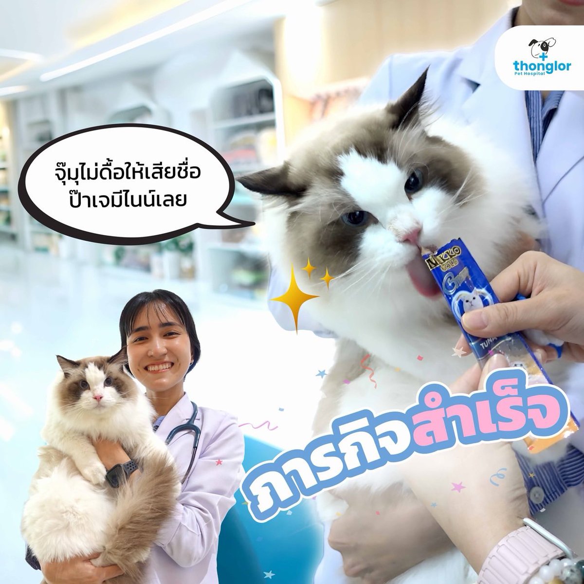 GeminiHome_TH's tweet photo. IG : nekkocatfood 

#ท่านลอร์ดจุ๊มุของแด๊ดเจมีไนน์ #LordJumu
#Gemini_NT #เจมีไนน์ @gemini_ti 

ตามติดภารกิจสุด Cute กับท่านลอดร์ดจุ๊มุ 🐱👑💕
.
จะเป็นแมว Cute ทั้งทีจะมาหน้าตาดีอย่างเดียวไม่ได้นะพี่ๆ ต้องสุขภาพแข็งแรงแถมตัวหอมขนนุ่มให้สมกับเป็นลูกรักของ ป๊าเจมีไนน์ 

ป๊าเลยส่งผมมาอาบน้ำกับพี่ๆที่โรงพยาบาลสัตว์ทองหล่อ สาขารังสิต ก่อน พี่ๆอาบน้ำให้ผมหอมมากก เพื่อเตรียมไปหาคุณหมอต่อ ✨

พอขนสวยแล้ว หอมแล้ว ก็มาหาคุณหมอตรวจสุขภาพกับที่โรงพยาบาลสัตว์ทองหล่อ สาขาติวานนท์ คุณหมอใจดีมากชมผมน่ารักตลอดเวลา วันนี้ขอจบภารกิจสุด Cute สุดฟิน ไว้เท่านี้นะคับ พี่ๆรอติดตามความน่ารักของน้องมันม่วงกันต่อเลย

#ThonglorPetHospital
