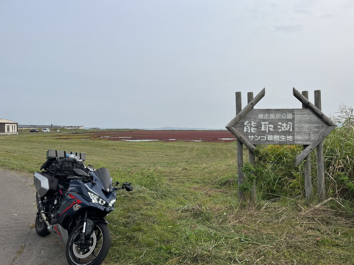 uraurabe2's tweet photo. 自分とは違う、色んな北海道ツーリング見れて良い余韻に浸れる https://t.co/0vlON12xSx