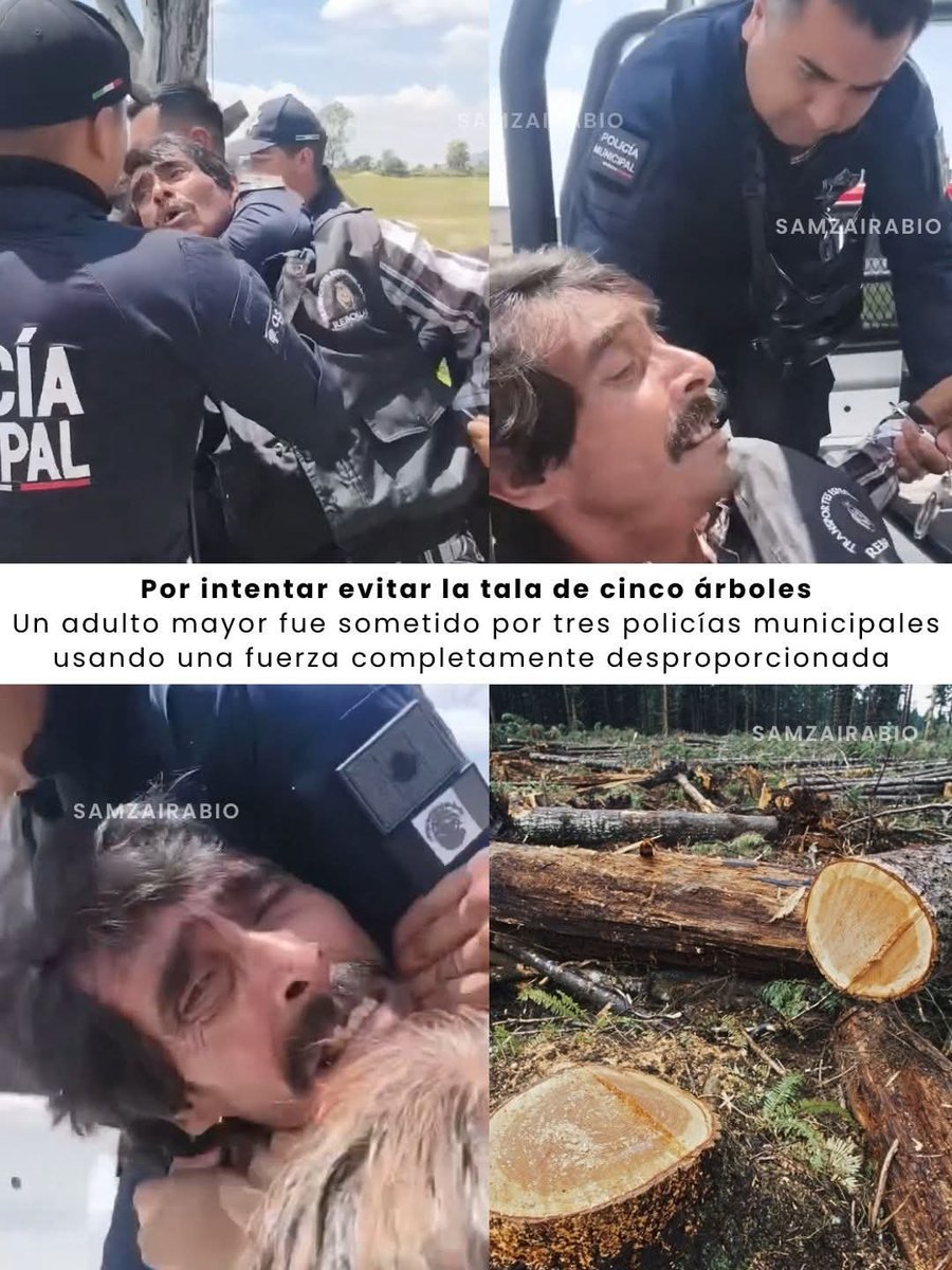 MarAdalidM's tweet photo. Ayer vi #ElárboldeKo una obra de una abuela pehuenche que no vendió su territorio, sobre raíces, firmeza y expansión hacia el cielo. Hoy veo esto en CDMX: un adulto mayor sometido por policías por intentar evitar la tala de cinco árboles en #Polotitlan #Edomex https://t.co/JjDINEQpDP