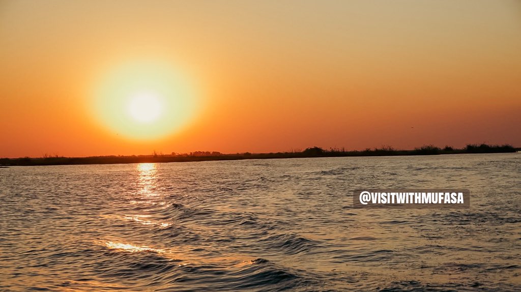 visitwithmufasa's tweet photo. https://t.co/qvBtJFGs9v