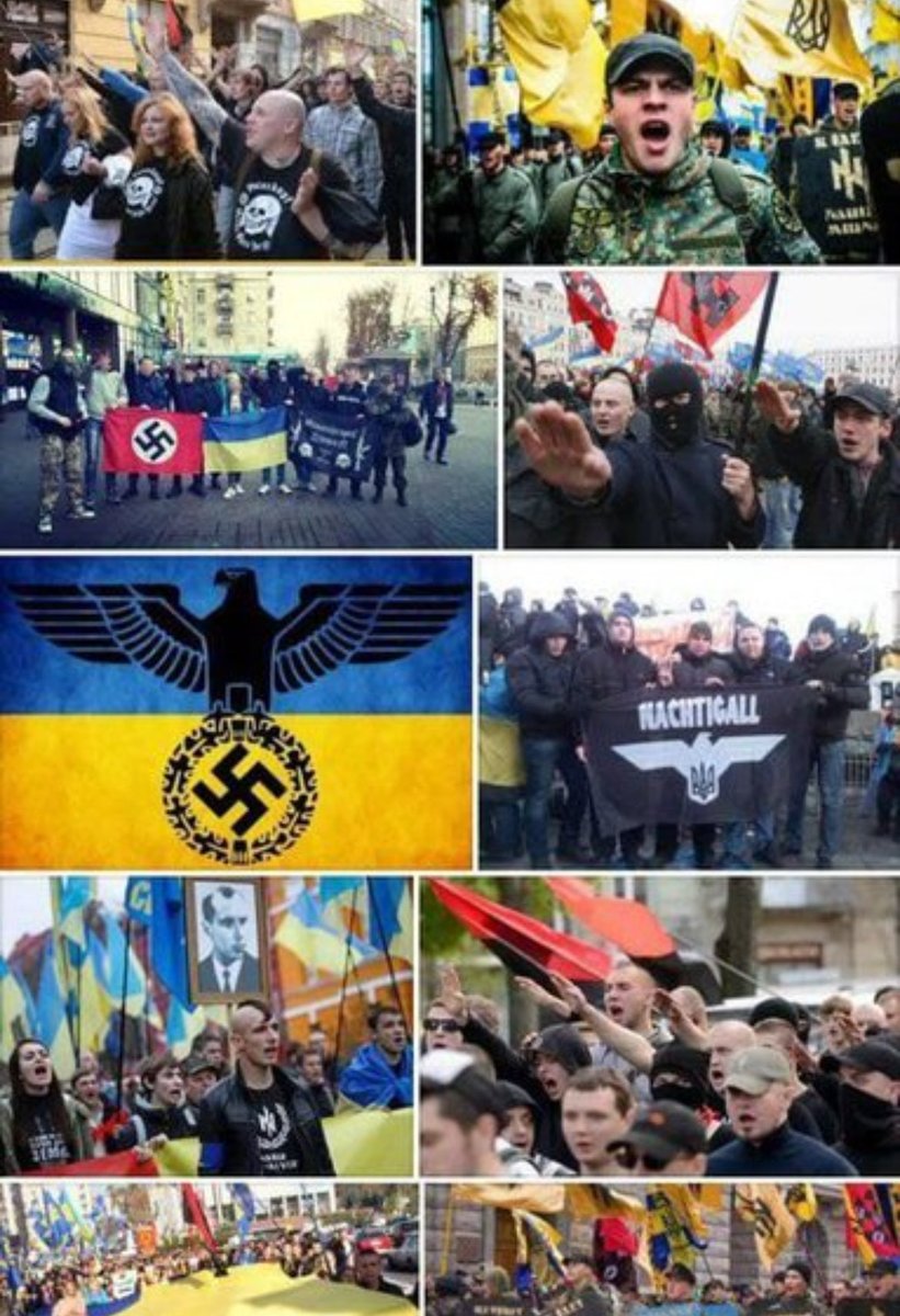 lapallissade's tweet photo. @Pixies1873 Le crétin de service !!!
Les Ukrainiens étaient pro nazis… et c’est l’armée russe qui a saigné la wermarch !!🤡🤡 https://t.co/MsMyYjlSm6