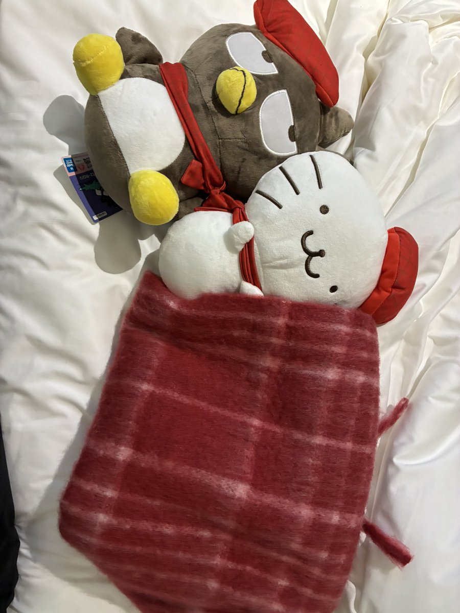 leeee_2531's tweet photo. 私の使われなかったテム、、🥺
またリベンジするからね！！！！！
キャリー半分これで埋まるけど！！！！！ https://t.co/gGO3AnXYUv