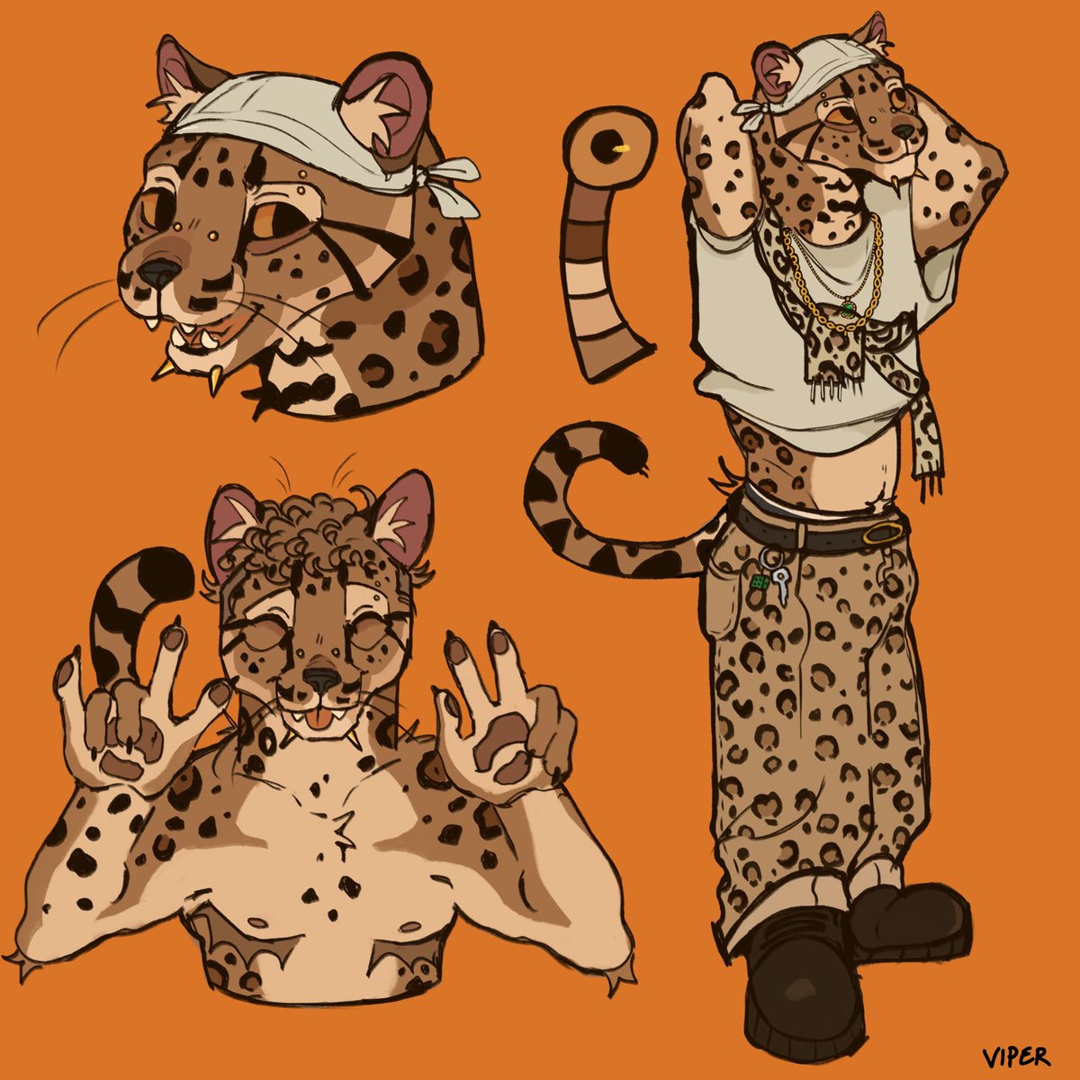 ViperR4ge's tweet photo. Leopardus Tilcayo! https://t.co/3K42R4AaCM