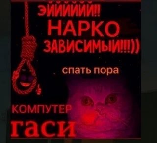prostobossss's tweet photo. До нового года 100 дней, думайте как замаливать грехи перед дедом морозом 
И сладких снов всем любимкам, которые отвечают на мои твитты (я бы давно заблокировала)😴 https://t.co/1DCDwA1W7I