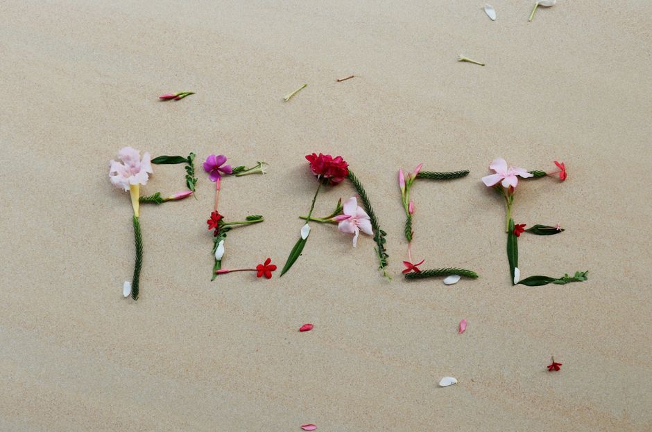 LuluStateFarm's tweet photo. Happy International Day of Peace! 🌿💖 Light a candle 🕯️, share kindness, and spread love 🕊️✨ #PeaceDay #SpreadLove https://t.co/f0tr5mppSs