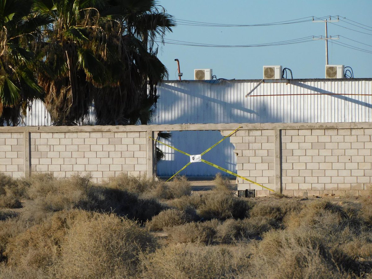 ArizonaPrensa's tweet photo. 🚨 Rescate bajo fuego y duro golpe al crimen en Puerto Peñasco. 

Fuerzas de seguridad liberaron a 3 personas secuestradas y detuvieron a 7 criminales tras un intenso enfrentamiento armado. El operativo fue derivado de la investigación del secuestro de mineros.

📷 Jimmy Cortez https://t.co/cqcYGyFYJr
