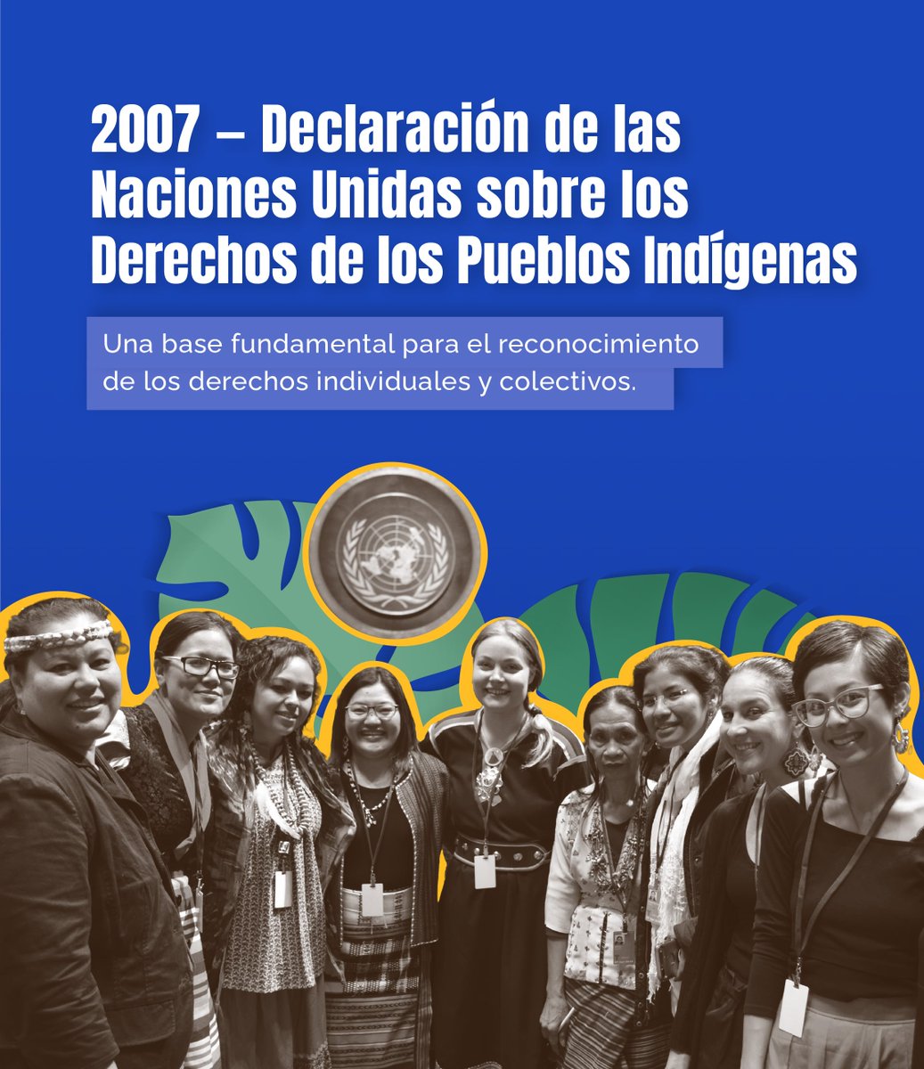 IIWF's tweet photo. Los avances internacionales no son concesiones aisladas. Son el resultado de años de organización, generación de evidencia, propuestas colectivas e incidencia de las Mujeres Indígenas.

📜 El Convenio 169 de la OIT, la Declaración de las Naciones Unidas sobre los Derechos de los Pueblos Indígenas, las resoluciones de la Comisión de la Condición Jurídica y Social de la Mujer y la Recomendación General núm. 39 de la CEDAW construyeron una arquitectura internacional de derechos.

✊🏽 Estos instrumentos reconocen que las Mujeres y las Niñas Indígenas enfrentan formas interseccionales de discriminación, pero también que son sujetas de derechos, productoras de conocimientos y actoras fundamentales.

🌺 La proclamación del 5 de septiembre se apoya en ese camino normativo. Sin embargo, el reconocimiento simbólico no es suficiente.

📣 El compromiso global debe reflejarse en políticas públicas, presupuestos, datos desagregados, participación efectiva y respeto a los derechos individuales y colectivos de las Mujeres y las Niñas Indígenas.

De las normas a la acción. Del reconocimiento a la garantía de derechos. 🌎✨

#DíaInternacionalMujeresIndigenas #MujeresIndígenasLideran #MujeresIndigenas #RG39