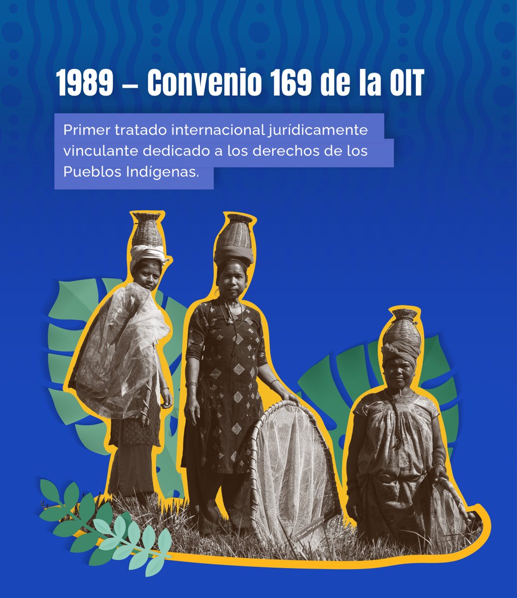 IIWF's tweet photo. Los avances internacionales no son concesiones aisladas. Son el resultado de años de organización, generación de evidencia, propuestas colectivas e incidencia de las Mujeres Indígenas.

📜 El Convenio 169 de la OIT, la Declaración de las Naciones Unidas sobre los Derechos de los Pueblos Indígenas, las resoluciones de la Comisión de la Condición Jurídica y Social de la Mujer y la Recomendación General núm. 39 de la CEDAW construyeron una arquitectura internacional de derechos.

✊🏽 Estos instrumentos reconocen que las Mujeres y las Niñas Indígenas enfrentan formas interseccionales de discriminación, pero también que son sujetas de derechos, productoras de conocimientos y actoras fundamentales.

🌺 La proclamación del 5 de septiembre se apoya en ese camino normativo. Sin embargo, el reconocimiento simbólico no es suficiente.

📣 El compromiso global debe reflejarse en políticas públicas, presupuestos, datos desagregados, participación efectiva y respeto a los derechos individuales y colectivos de las Mujeres y las Niñas Indígenas.

De las normas a la acción. Del reconocimiento a la garantía de derechos. 🌎✨

#DíaInternacionalMujeresIndigenas #MujeresIndígenasLideran #MujeresIndigenas #RG39